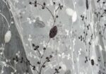 Тюль микросетка Morienta 2 — изображение 2